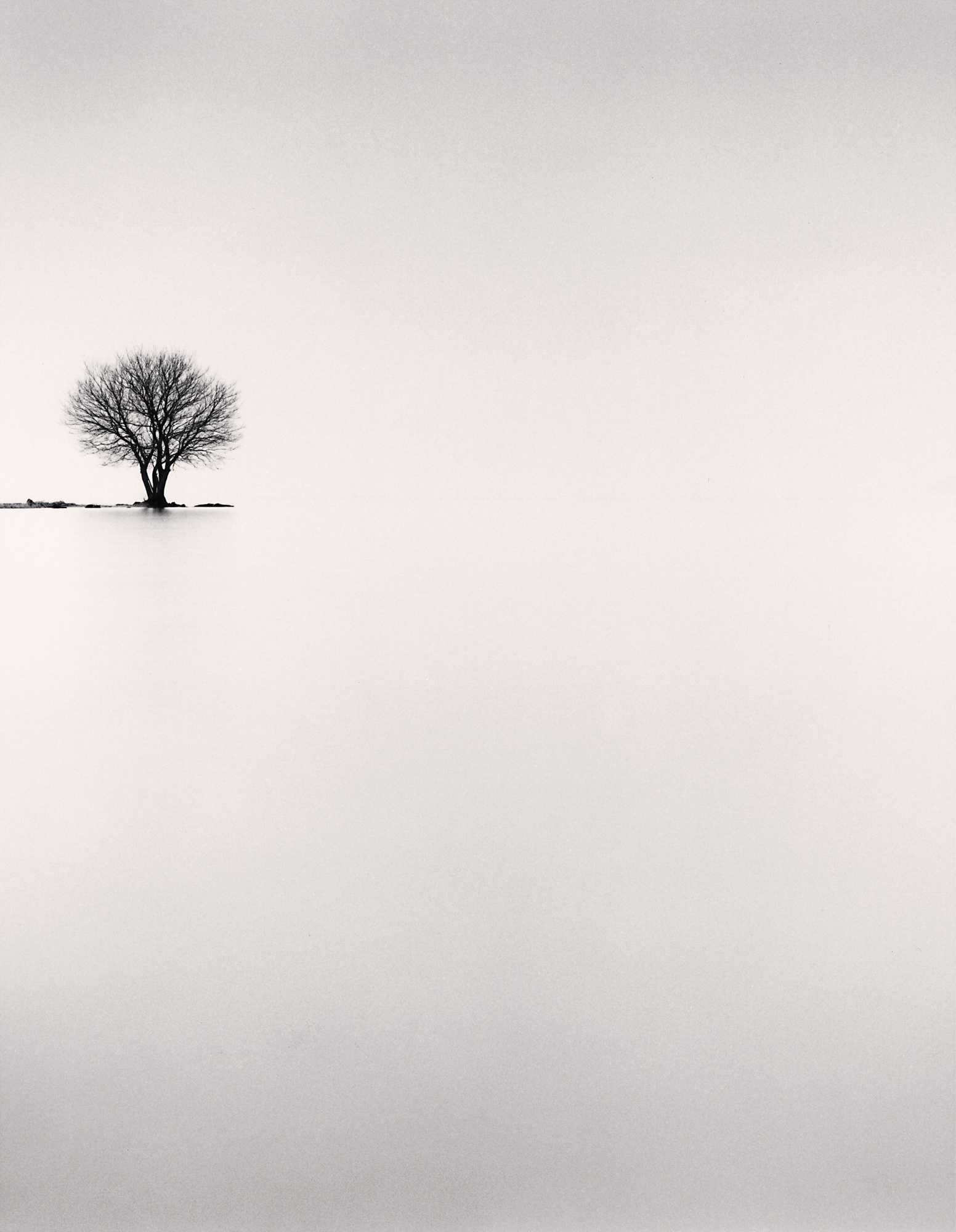 Michael Kenna, Biwa Lake Tree, Study 2, Omi, Honshu, Japan, 2002