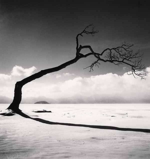 Kussharo Lake Tree, Study 10, Kotan, Hokkaido, Japan 2005