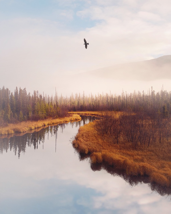 Benjamin Everett, Marshland, Misinchinka River, BC, 2015