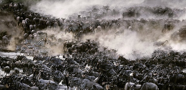 Steve Bloom, Migration