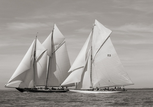 Ben Wood, Tuiga & Mariette, Westward Cup