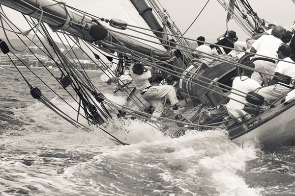 Ben Wood, Lee Deck, Cannes