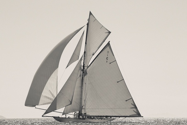 Ben Wood, Mariquita, Argentario, Italy