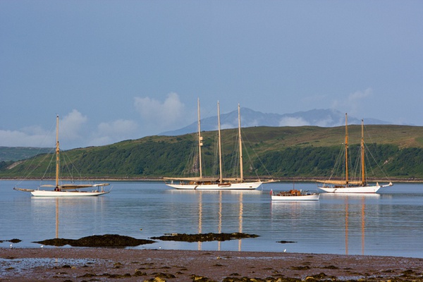 Ben Wood, Fife Regatta, Scotland