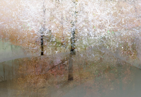 Valda Bailey, Blossom Blizzard Study 2, 2017
