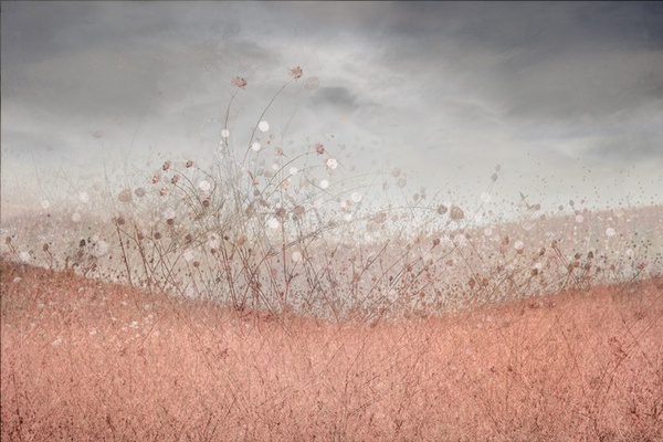 Valda Bailey, Autumn's Farewell Study 4, 2017