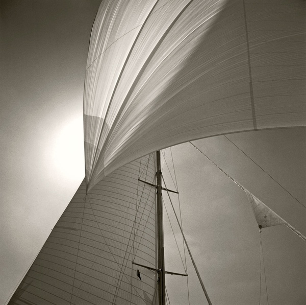 Michael Kahn, Spinnaker Detail Of Cambria, Isle of Wight