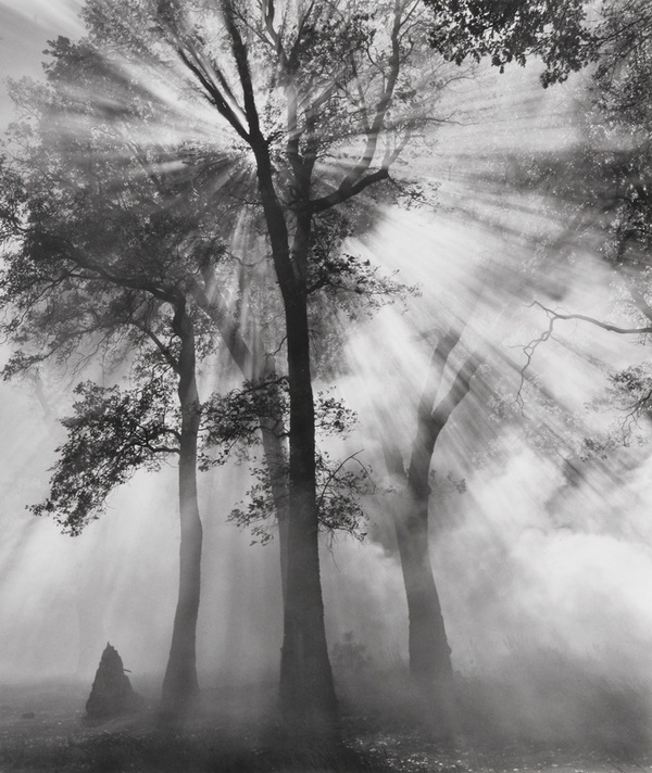 Bob Kolbrener, Controlled Burn & Dodge #1, Yosemite National Park, 1999