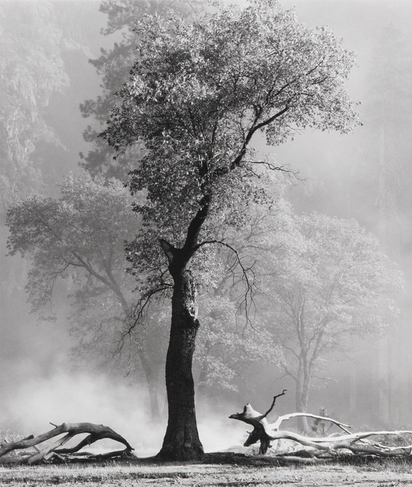 Bob Kolbrener, Controlled Burn & Dodge #2, Yosemite National Park, 1999