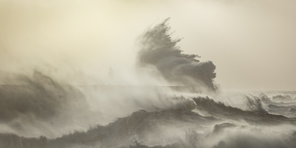 Rachael Talibart, Landfall, England, 2016