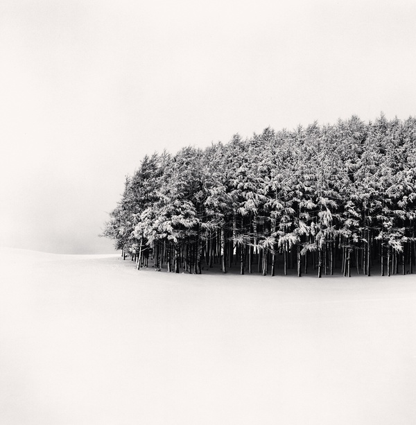 Michael Kenna, White Copse Study 1, Wakkanai, Hokkaido, Japan, 2004