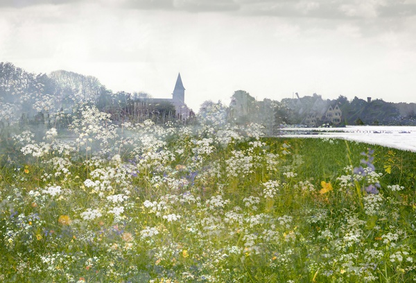 fragments-of-light-bosham-study-2-by-valda-bailey-framed-limited-edition-print-for-sale-at-bosham-gallery