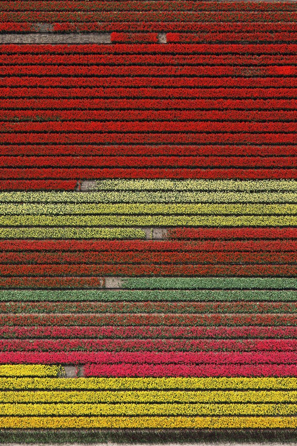 Tommy Clarke, Divisions, Netherlands, 2018