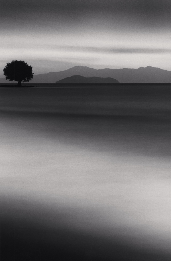 Michael Kenna, Biwa Lake Tree, Study 1, Omi, Honshu, Japan, 2001