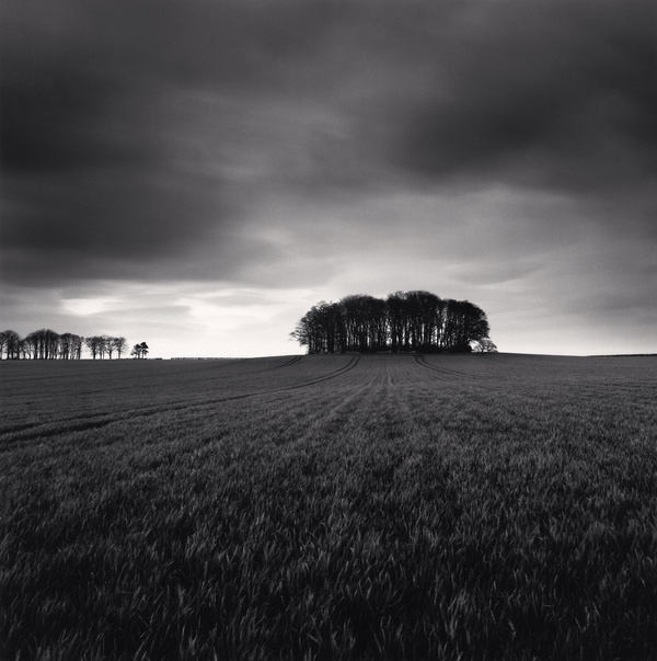 Michael Kenna, Copse, Great Smeaton, Yorkshire, England, 1991