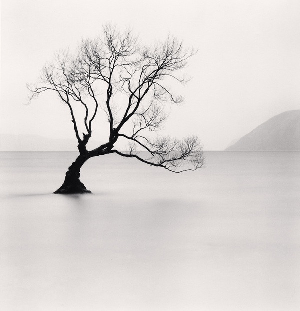 Michael Kenna, Wanaka Lake Tree I, Otago, New Zealand, 2013