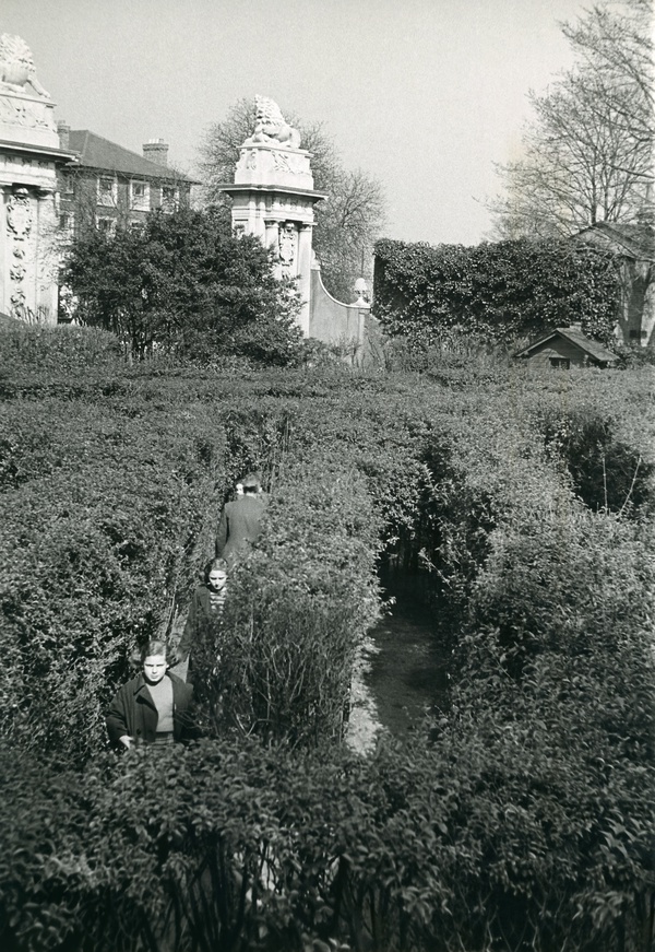 Henri Cartier-Bresson Lost In The Maze, Hampton Court Palace, 1951