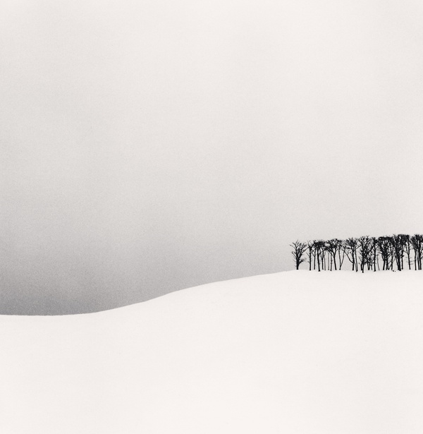 Michael Kenna, Hilltop Trees, Study 1, Teshikaga, Hokkaido, Japan, 2003