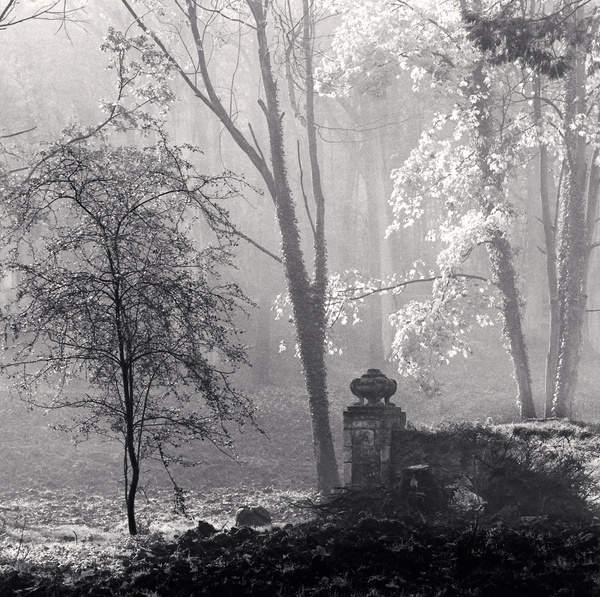 Michael Kenna, Le Desert De Retz, Study 4, France, 1988