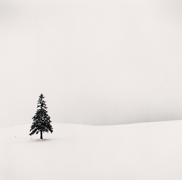 Michael Kenna, Lone Tree, Study 1, Bibaushi, Hokkaido, Japan, 2004