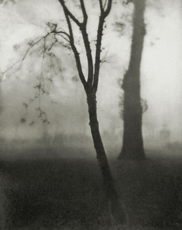 Alvin Langdon Coburn, Kensington Gardens, London, 1909