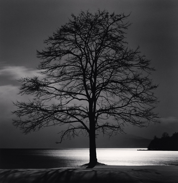 Michael Kenna, Toya Lake Tree, Sobetsu, Hokkaido, Japan, 2009