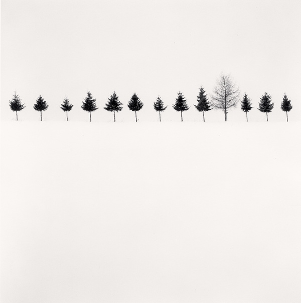 Michael Kenna, Line of Trees, Biei, Hokkaido, Japan, 2012