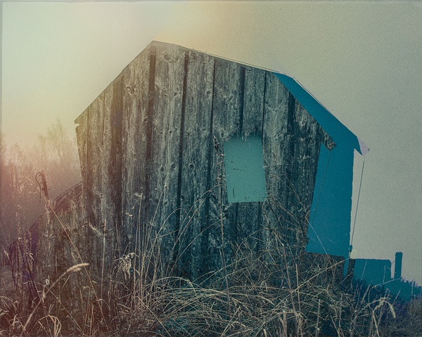 day-after-day-2020-by-valda-bailey-limited-edition-print-for-sale-at-bosham-gallery