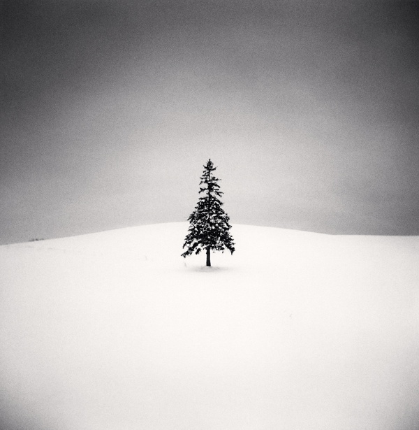 Michael Kenna, Lone Tree, Study 2, Bibaushi, Hokkaido, Japan, 2004