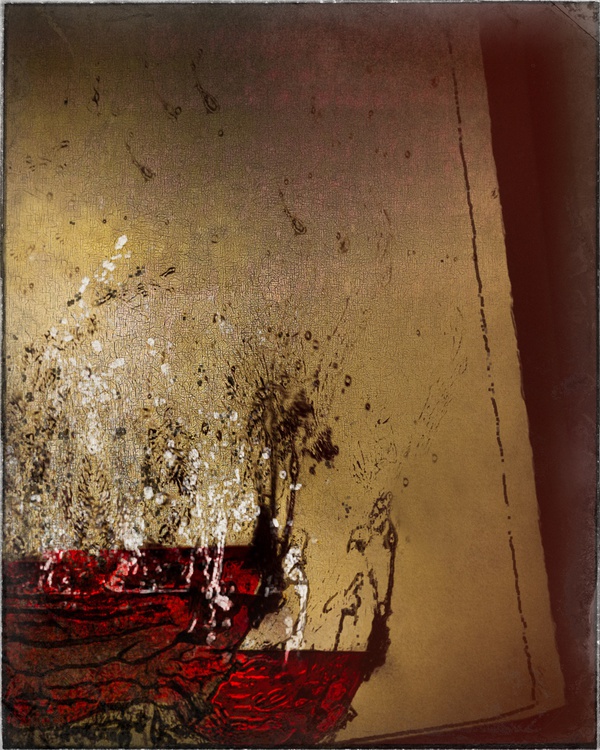 lost-in-contemplation-2020-by-valda-bailey-limited-edition-print-for-sale-at-bosham-gallery