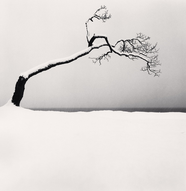 Michael Kenna, Kussharo Lake Tree, Study 2, Kotan, Hokkaido, Japan, 2005