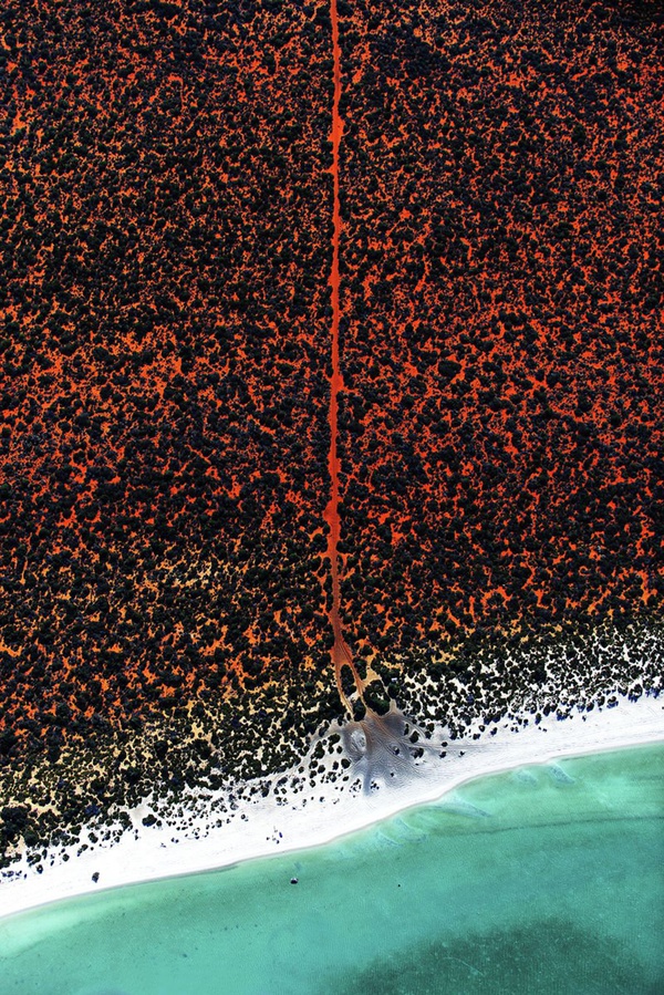 Tommy Clarke, Fisherman's Road, Shark Bay, Australia, 2016