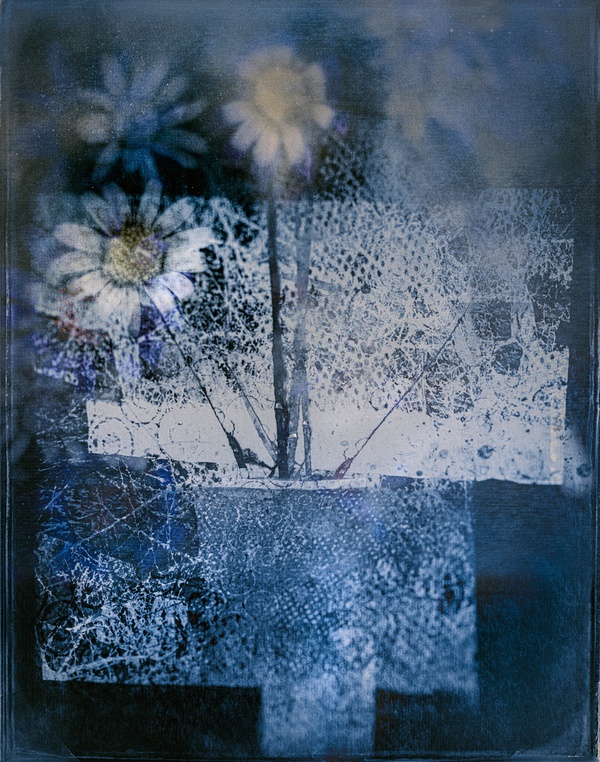 little-blue-2020-by-valda-bailey-limited-edition-print-for-sale-at-bosham-gallery