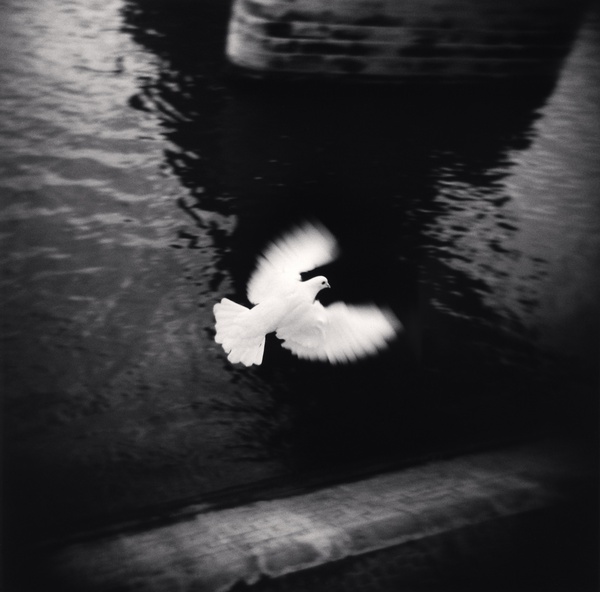 Michael Kenna, White Bird Flying, Paris, France, 2007