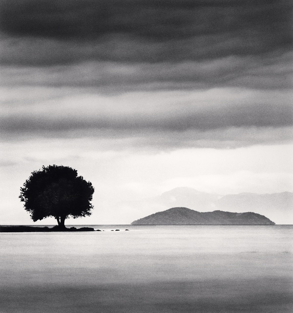 Michael Kenna, Biwa Lake Tree, Study 4, Omi, Honhsu, Japan, 2003