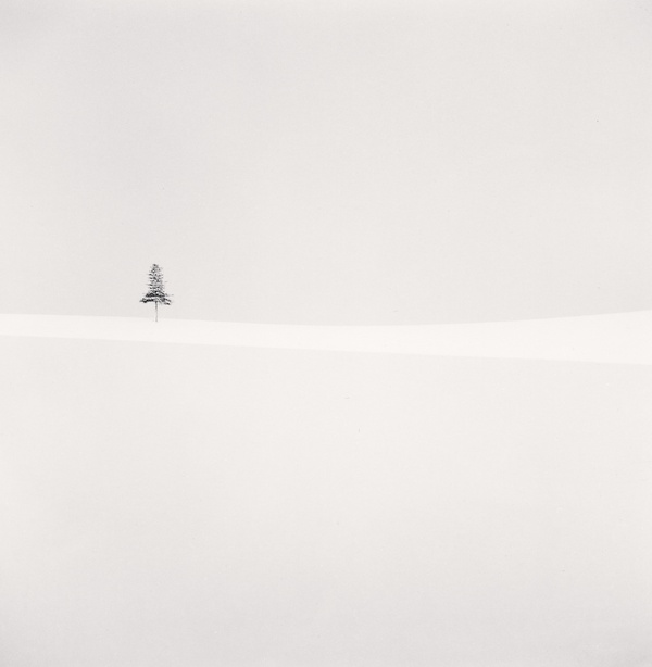 Michael Kenna, Delicate Tree, Furano, Hokkaido, Japan, 2012