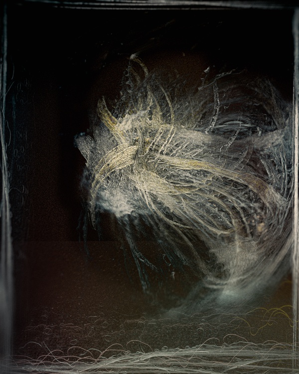 koyaanisqatsi-2018-by-valda-bailey-limited-edition-print-for-sale-at-bosham-gallery