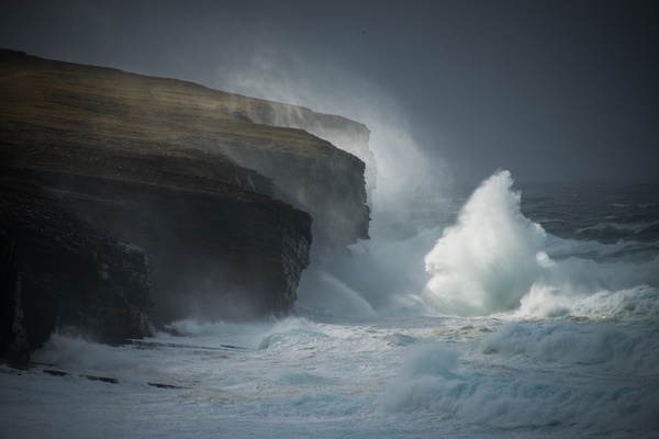 Margaret Soraya, Birsay Cliffs Study 1 , Orkney, Scotland, 2018