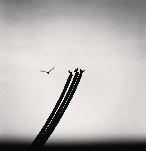 Michael Kenna, Four Birds, St. Nazaire, France, 2000