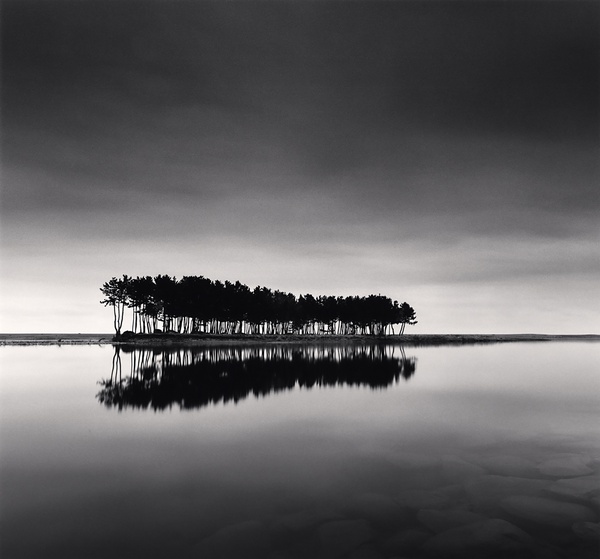 Michael Kenna, Pine Trees, Study 1, Wolcheon, Gangwondo, South Korea, 2007