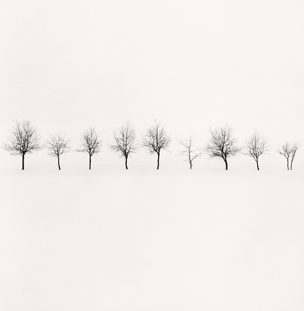 Michael Kenna, Nine Trees, Higashikawa, Hokkaido, Japan, 2004