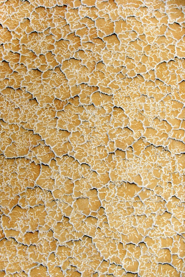 Tommy Clarke, Cells, USA, 2014