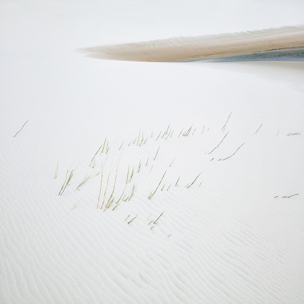 Yi Sun, Grass and Lake Study 1, Lençóis Maranhenses National Park, Brazil, 2018