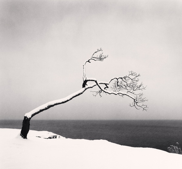 Michael Kenna, Kussharo Lake Tree, Study 3, Kotan, Hokkaido, Japan, 2005