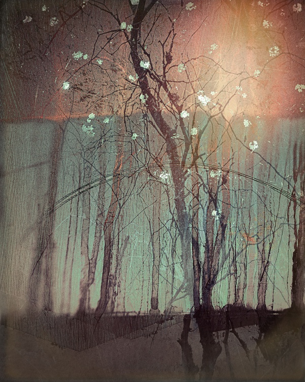 the-colour-of-memory-2020-by-valda-bailey-limited-edition-print-for-sale-at-bosham-gallery