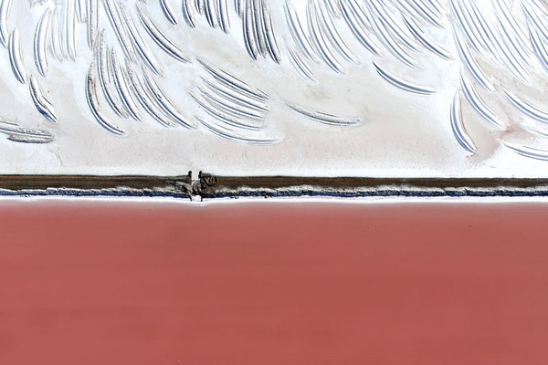 Tommy Clarke, Scrape, San Francisco, USA, 2014