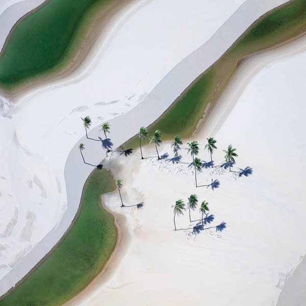 Yi Sun, Coffee or Tea Study 2, Lençóis Maranhenses National Park, Brazil, 2018