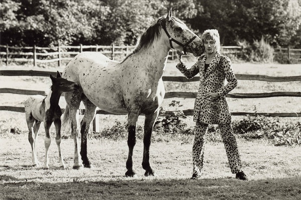 Terry O'Neill, Rod Stewart With His Horse And Foal, Windsor, 1971