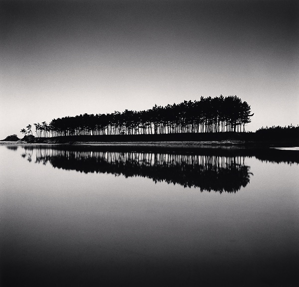 Michael Kenna, Pine Trees, Study 5, Unyeo Beach, Chungcheongnam Do, South Korea, 2018