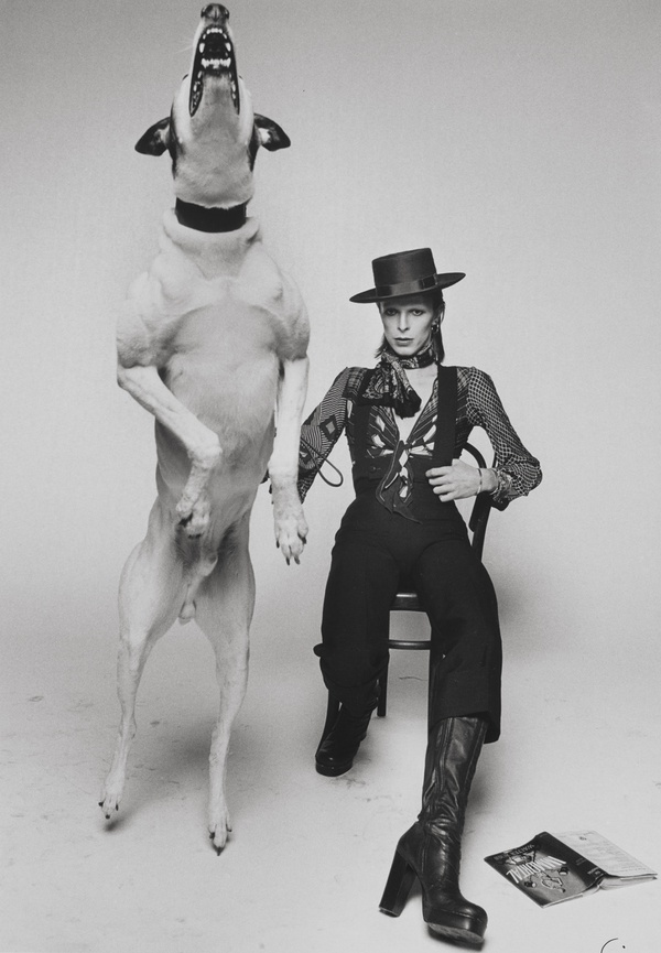 Terry O'Neill, David Bowie, 'Diamond Dogs', London, 1974